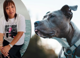 Cape Town woman mauled to death by her own PIT BULL DOGS: Son Attacked Before, family secrets EXPOSED!