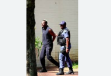 ‘He was pleading for his life’: witnesses detail shooting at home of Mugabe’s son in Joburg