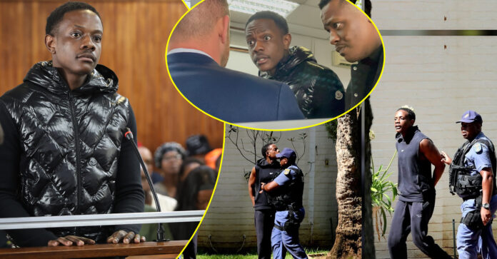 Chatunga mugabe arrested - in court - shocked