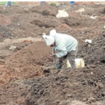 Gold Rush in Springs: Kraal owners charge R50 as Gugulethu residents descend on alleged gold site in Springs