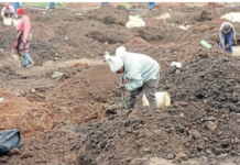 Gold Rush in Springs: Kraal owners charge R50 as Gugulethu residents descend on alleged gold site in Springs