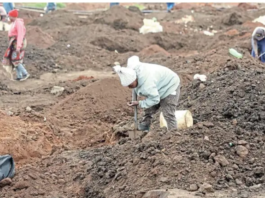 Gold Rush in Springs: Kraal owners charge R50 as Gugulethu residents descend on alleged gold site in Springs