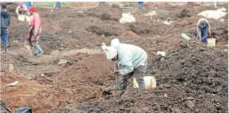 Gold Rush in Springs: Kraal owners charge R50 as Gugulethu residents descend on alleged gold site in Springs