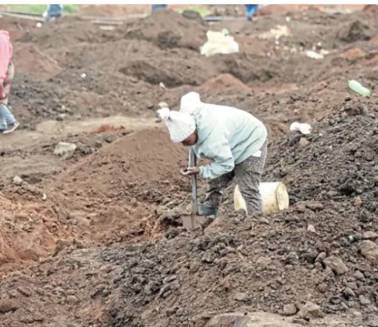 Gold Rush in Springs: Kraal owners charge R50 as Gugulethu residents descend on alleged gold site in Springs