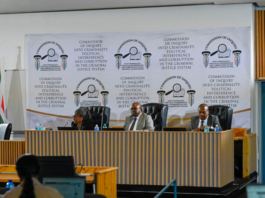 Witness Hospitalised: Madlanga Commission Hearings Hit Unexpected Delay