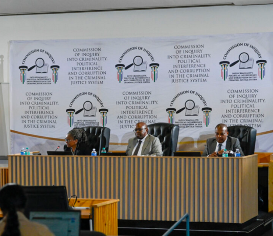 Witness Hospitalised: Madlanga Commission Hearings Hit Unexpected Delay