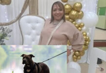 Cape Town Woman Mauled to Death by Her Own Pit Bulls