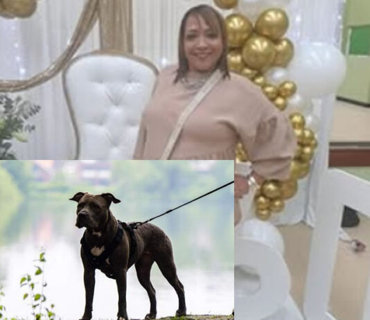 Cape Town Woman Mauled to Death by Her Own Pit Bulls