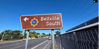 Bellville horror: Woman (79) found beheaded in her own flat, body parts hidden in Tupperware