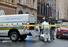 Lawyer Executed in Broad Daylight: Sibanye-Stillwater Attorney Chinette Gallichan Shot Dead in Joburg CBD