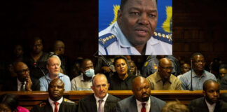 The Web of Accusations: Money-Laundering, Fraud and the 25 Charges Against Cat Matlala’s Circle