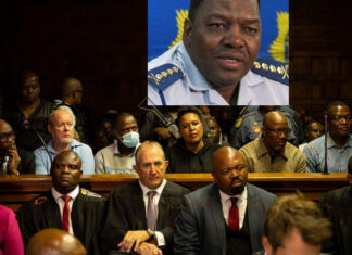 The Web of Accusations: Money-Laundering, Fraud and the 25 Charges Against Cat Matlala’s Circle