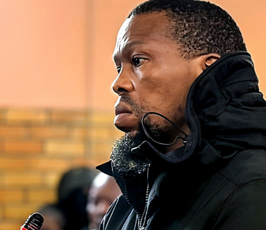 The shocking story of Matipandile Sotheni, accused of using his Special Task Force skills to silence 'Witness D', Marius van der Merwe, in a brutal hit