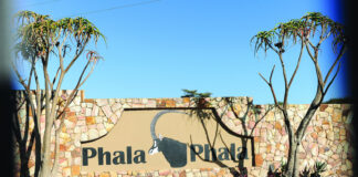 PHALA PHALA SECRETS: Report Finally Declassified – But Why is it Still Under Lock and Key?