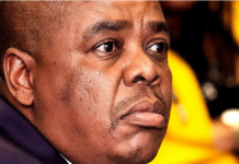 Health Department in Crisis: Top Officials, Including Director-General, Arrested in R1 Million Fraud Scandal