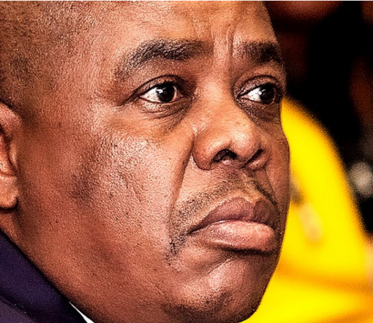 Health Department in Crisis: Top Officials, Including Director-General, Arrested in R1 Million Fraud Scandal