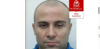 FROM GYM TO JAIL: Cape Town’s Favourite 'Personal Trainer' Exposed as Interpol-Wanted Drug Kingpin!