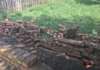 Grade 3 Pupil Dies After School Wall Collapses in Gauteng