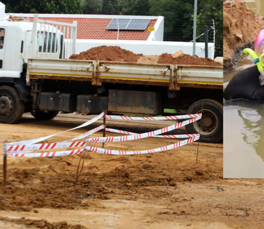 Three-Year Pothole Fixed Overnight After Helen Zille Takes a Dip!