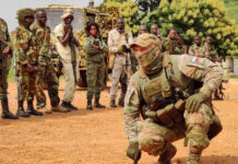 How 15 Zimbabweans were SHOT DEAD: Inside the Deceptive Recruitment of Zimbabweans and South Africans for Russia's War (VIDEO)