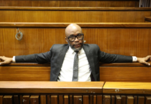 The Cat's Inner Circle! Matlala's 'Ozempic Girlfriend' And The 12 Cops Arrested In R360m Scandal