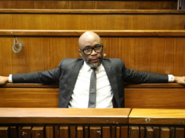 The Cat's Inner Circle! Matlala's 'Ozempic Girlfriend' And The 12 Cops Arrested In R360m Scandal