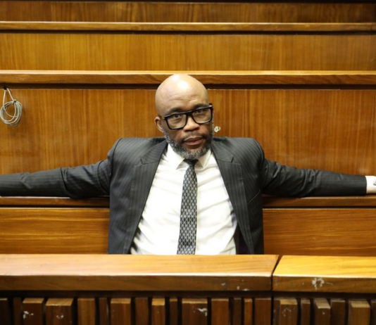 The Cat's Inner Circle! Matlala's 'Ozempic Girlfriend' And The 12 Cops Arrested In R360m Scandal