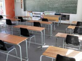 Teacher Suspended After Humiliating Grade 1 Pupil for Being Too Poor to Afford Pie-Day School Fundraising