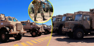 Minister Leon Schreiber's Shock Border Strategy: The Real Reason South Africa Is Using War Machines at Beitbridge Border