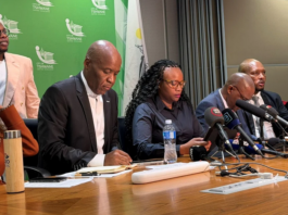 Tshwane Tender Rigging! Council Investigates CFO Gareth Mnisi After MMC Kholofelo Morodi Axed