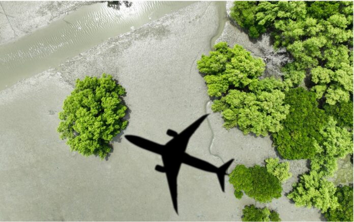 Green_plane
