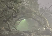 Tornado Touches Down in KwaZulu-Natal as Province Braces for More Severe Weather