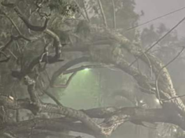 Tornado Touches Down in KwaZulu-Natal as Province Braces for More Severe Weather