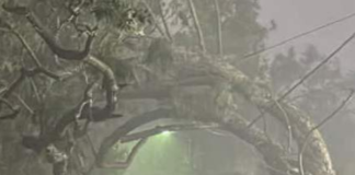 Tornado Touches Down in KwaZulu-Natal as Province Braces for More Severe Weather