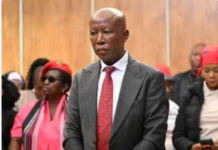 Will The EFF Survive If Julius Malema Is Jailed?