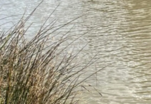 Three Drown in Mpumalanga River During Baptism Ceremony