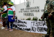 Igwe of East London: Nigerian 'King' Sparks Royal Rumble in South Africa, Nigerians Warned as Xenophobia Erupts in Eastern Cape