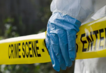 6-Year-Old Girl Fighting for Life After Being Shot in Head During Gang Fight