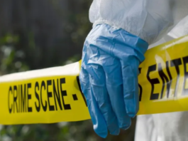 6-Year-Old Girl Fighting for Life After Being Shot in Head During Gang Fight