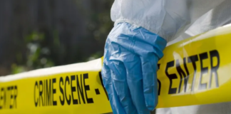 6-Year-Old Girl Fighting for Life After Being Shot in Head During Gang Fight