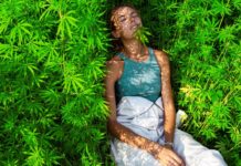 Chaos as Cape Town is Getting Dagga Museum: Is the Mother City Playing with Fire?