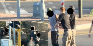 Plattekloof beating outrage: Security officers suspended after ‘skop and klap’ video goes viral