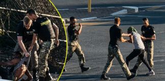 Shocking Viral Video: Security Guards Caught on Camera Kicking and Slapping Handcuffed Man in Plattekloof (WATCH)