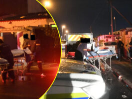 Delft Mother and 12-Year-Old Son Executed in Cold Blood: Survivor Reveals Horrifying Details of Gang Attack