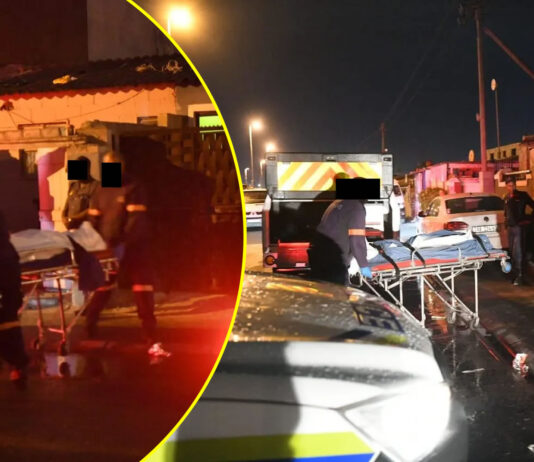 Delft Mother and 12-Year-Old Son Executed in Cold Blood: Survivor Reveals Horrifying Details of Gang Attack