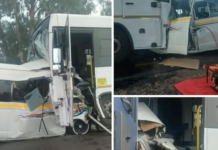 10 Dead in Horrific Mpumalanga Taxi and Bus Crash! – Entire Taxi Wiped Out in Devastating Head-On Collision!