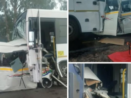 10 Dead in Horrific Mpumalanga Taxi and Bus Crash! – Entire Taxi Wiped Out in Devastating Head-On Collision!