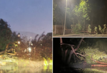 Cape Town's Nightmare: Extreme Weather Wreaks Havoc, Monster Storm Unleashes Chaos, Rips Through Homes!