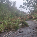 SANDF and Police Divers Battle Storm to Reach Trapped Garden Route Families