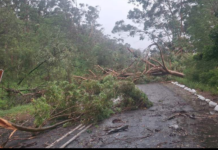 Government Declares National Disaster as Floods, Snow and Storms Batter Six Provinces